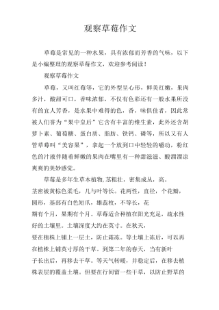 观察草莓作文