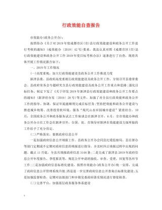 行政效能自查报告 