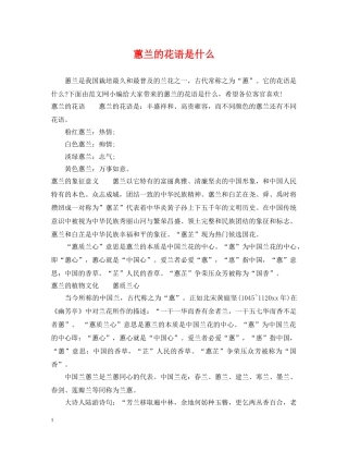 蕙兰的花语是什么 