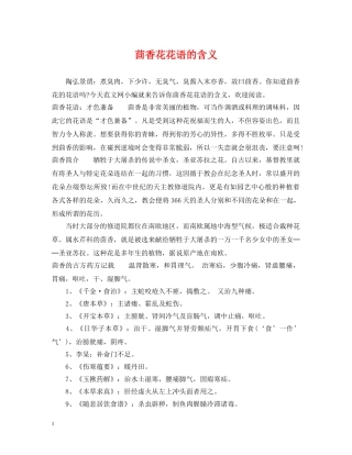 茴香花花语的含义 