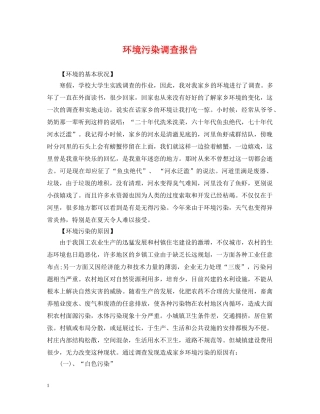环境污染调查报告 