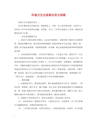 环境卫生自查报告范文两篇 
