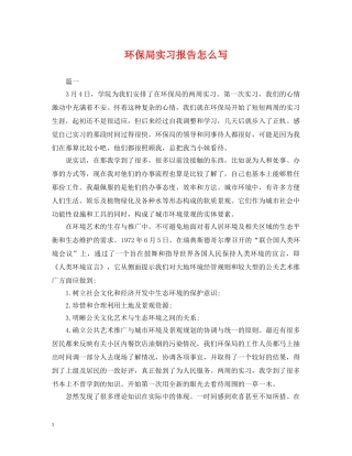 环保局实习报告怎么写 