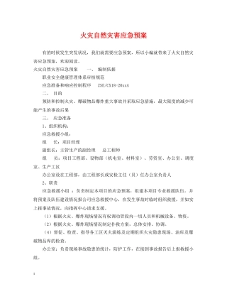 火灾自然灾害应急预案 