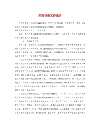 湖南省委工作报告 