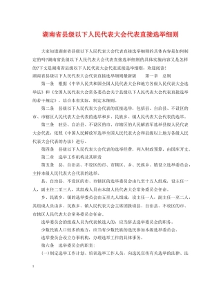 湖南省县级以下人民代表大会代表直接选举细则 