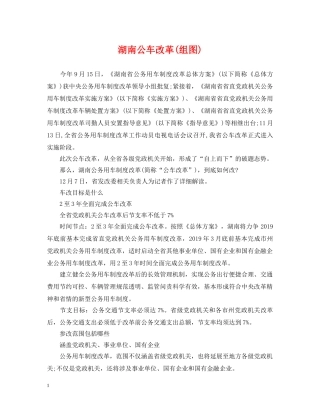 湖南公车改革(组图) 