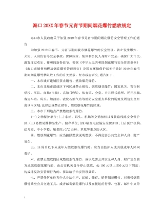 海口20XX年春节元宵节期间烟花爆竹燃放规定 