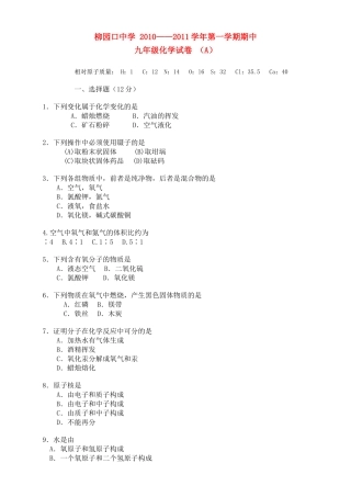 河南省柳园口20102011九级化学上学期期中试题A卷无答案 