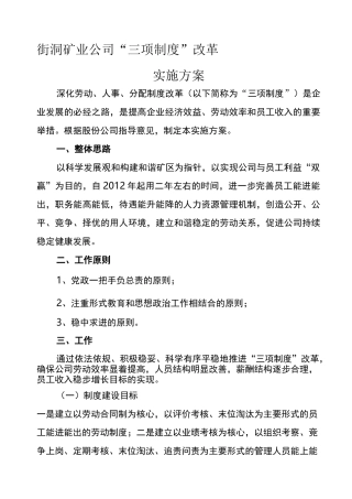 三项制度改革方案