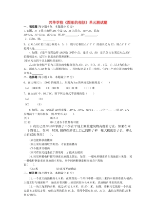 河南省兴华学校20九级数学上册图形的相似单元测验题 华东师大版 