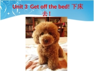 新概念入门B,UNIT3