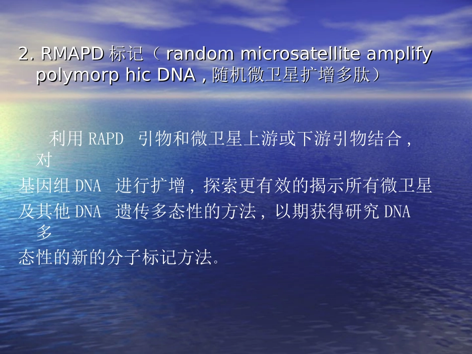 新型分子标记_第3页
