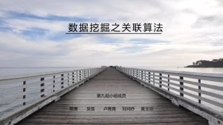 数据挖掘之关联算法