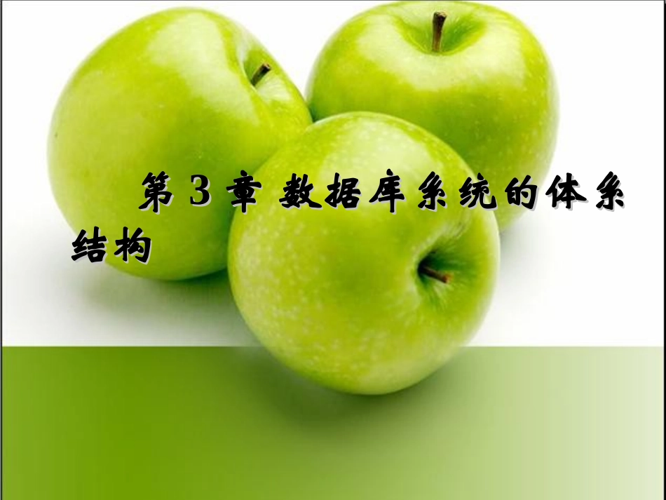 数据库系统体系结构_第1页