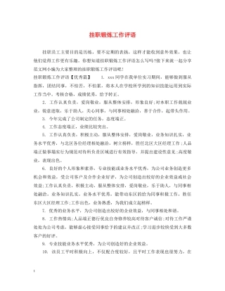 挂职锻炼工作评语 