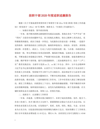 挂职干部2024年度述职述廉报告 