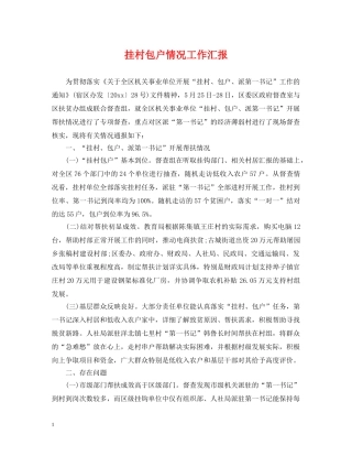 挂村包户情况工作汇报 