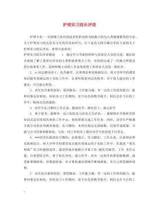 护理实习组长评语 