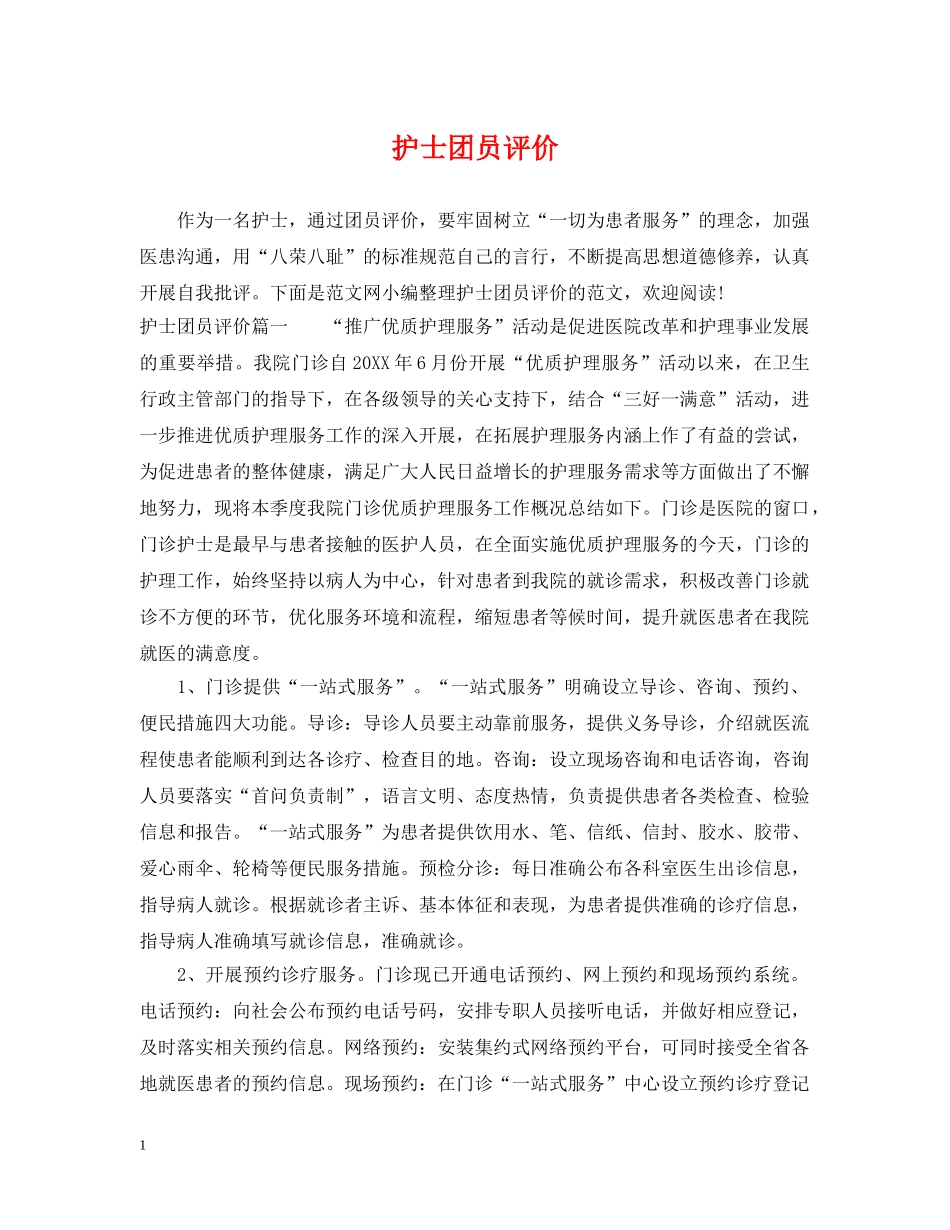 护士团员评价 _第1页