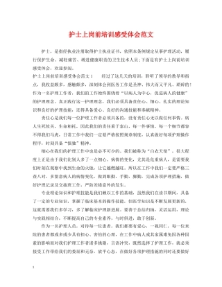 护士上岗前培训感受体会范文 