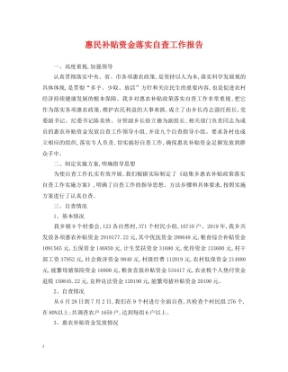 惠民补贴资金落实自查工作报告 