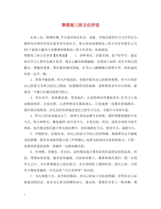 寒假高三班主任评语 