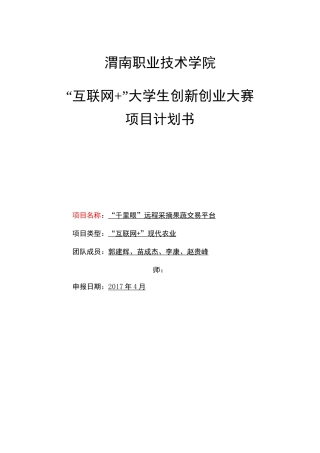 “互联网+”大赛项目计划书