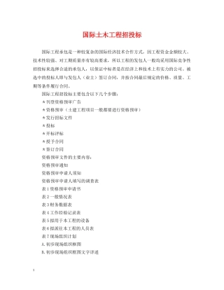 国际土木工程招投标 