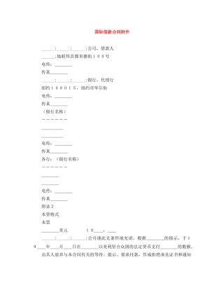 国际借款合同附件 