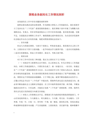 国税业务副局长工作情况剖析 