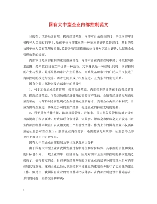 国有大中型企业内部控制范文 