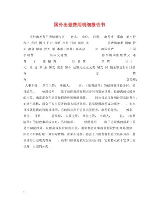 国外出差费用明细报告书 