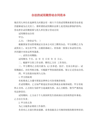 合法的试用期劳动合同范本 (2) 