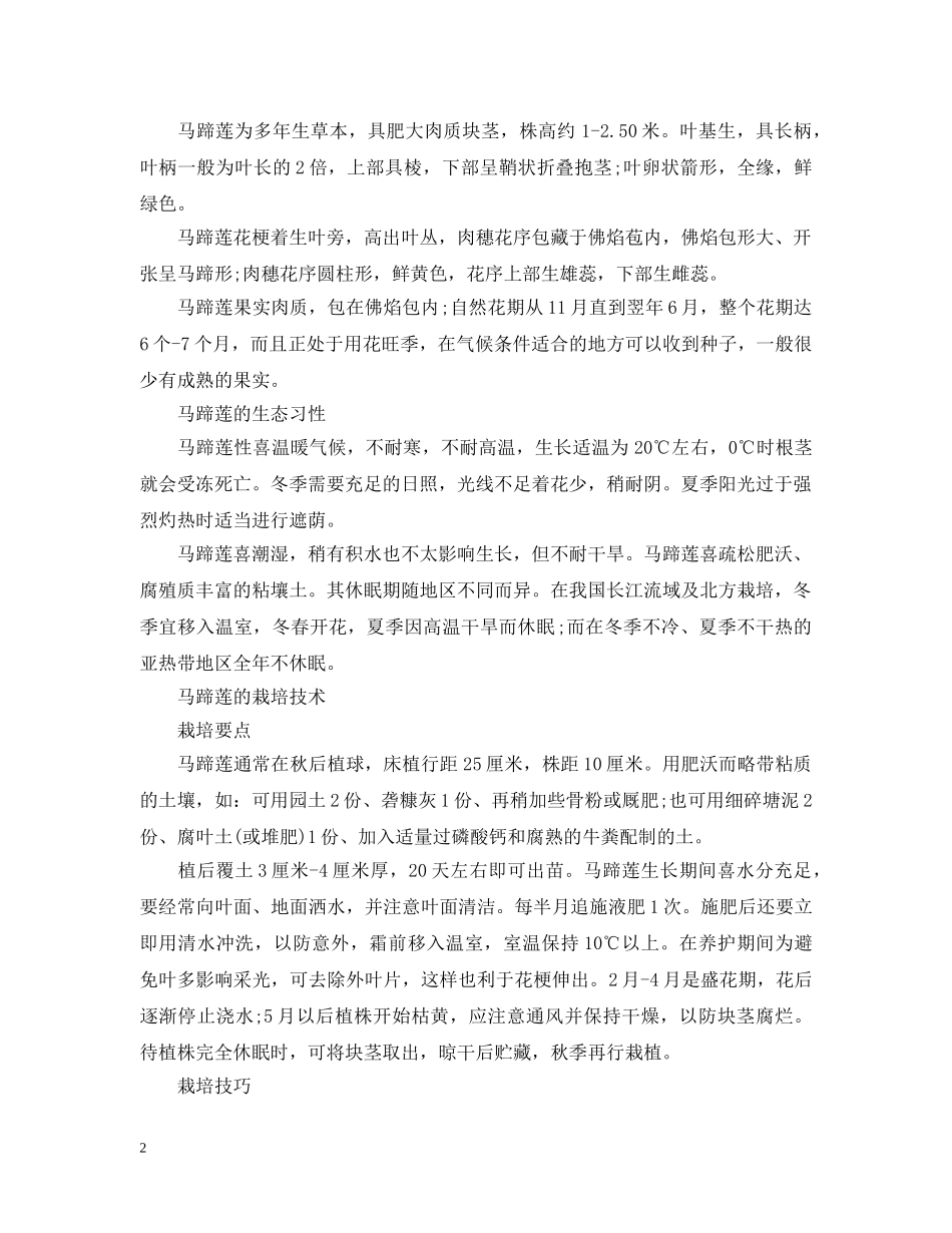 关于马蹄莲的花语_第2页