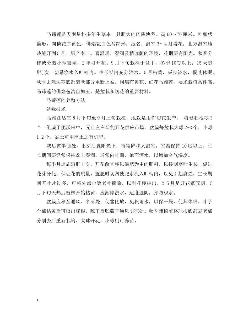 关于马蹄莲的花语_第3页