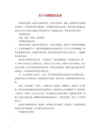 关于马蹄莲的花语