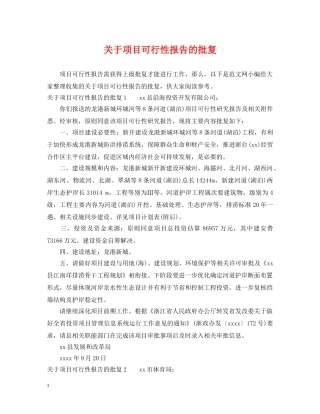 关于项目可行性报告的批复
