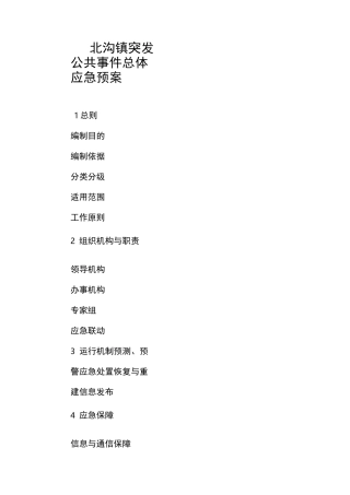 乡镇应急总体预案