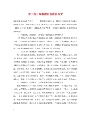 关于统计局数据自查报告范文