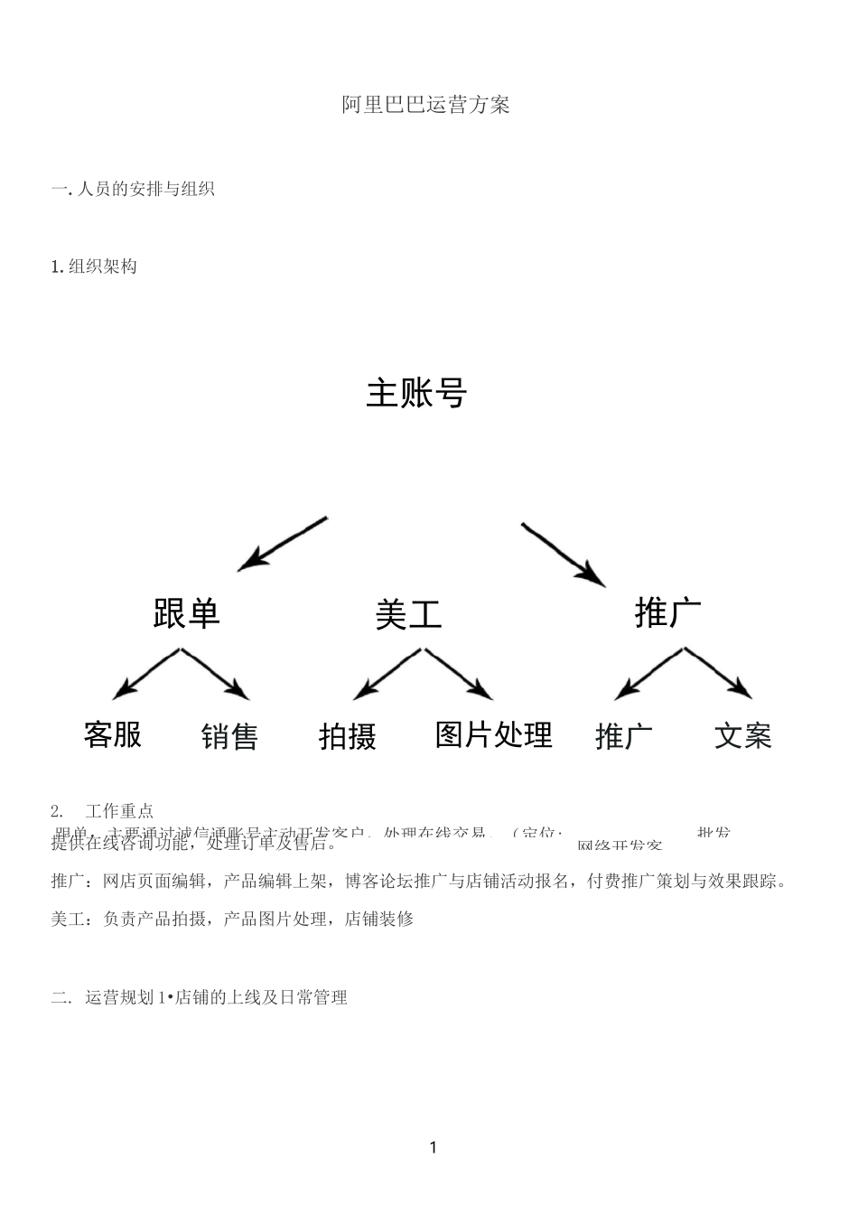 阿里运营方案_第1页