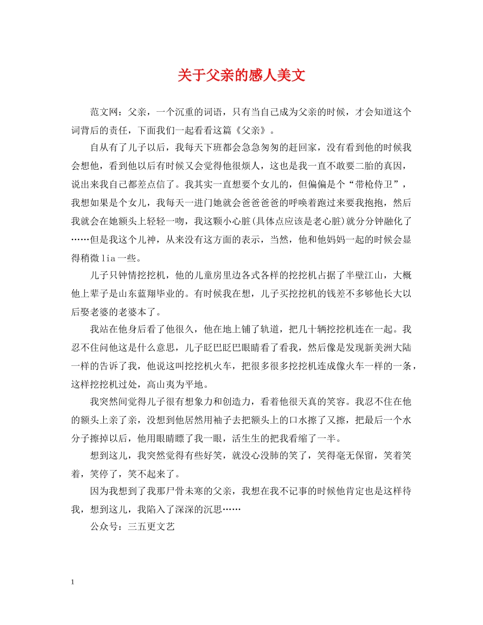 关于父亲的感人美文_第1页