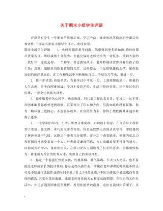 关于期末小组学生评语