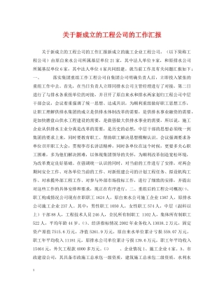 关于新成立的工程公司的工作汇报