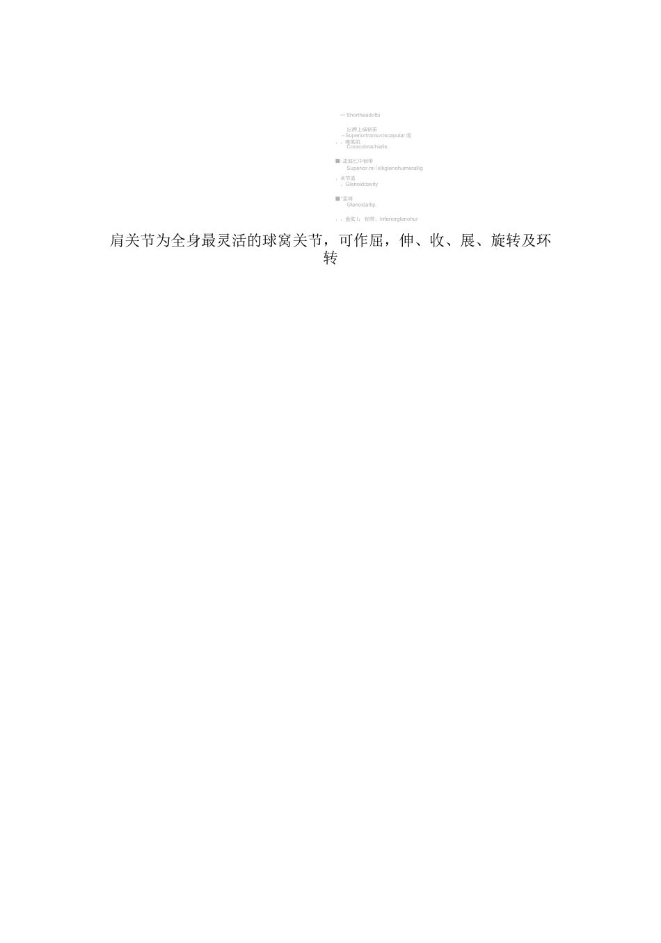 肩关节解剖神经血管篇_第3页