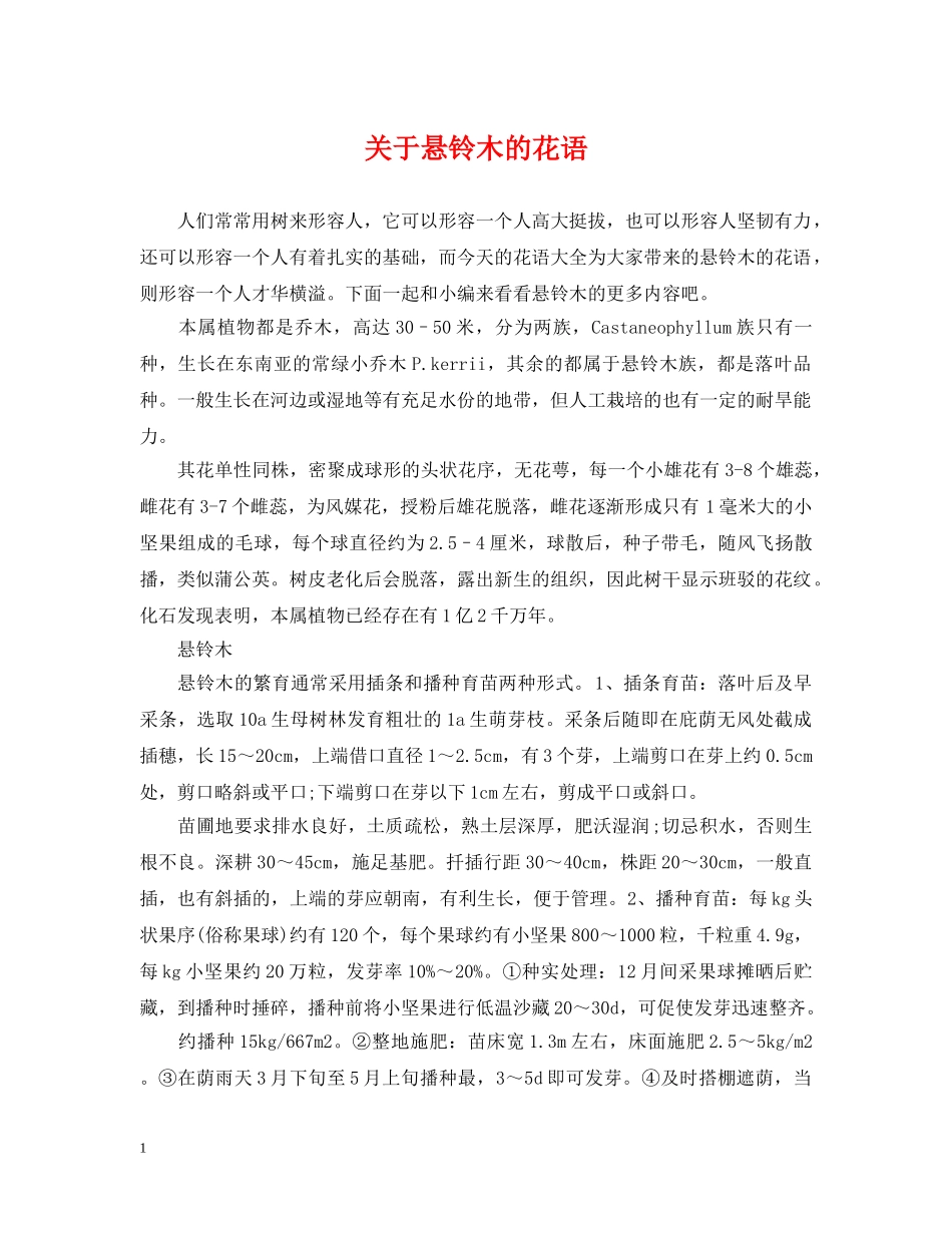 关于悬铃木的花语_第1页