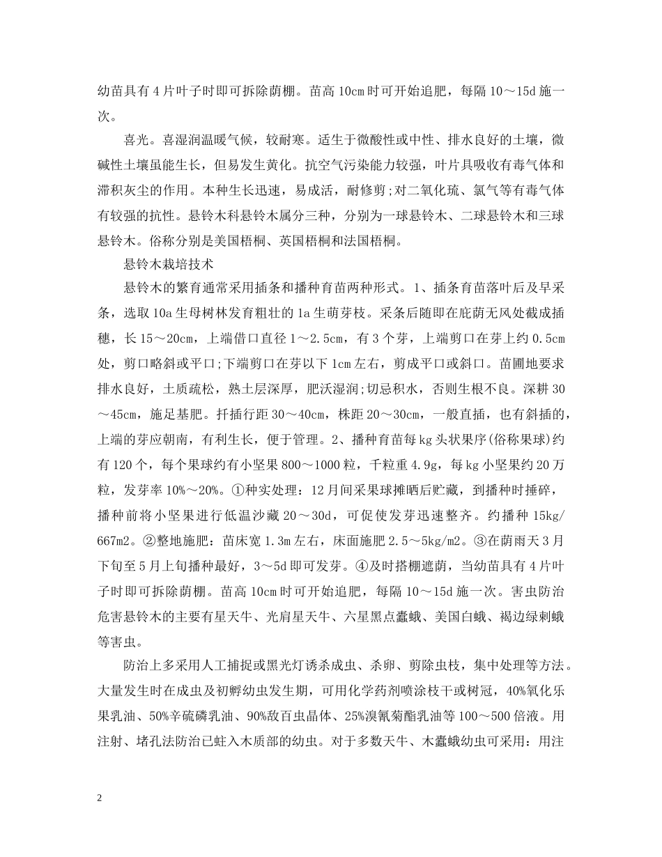 关于悬铃木的花语_第2页