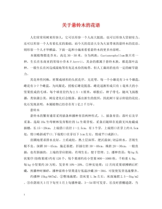 关于悬铃木的花语