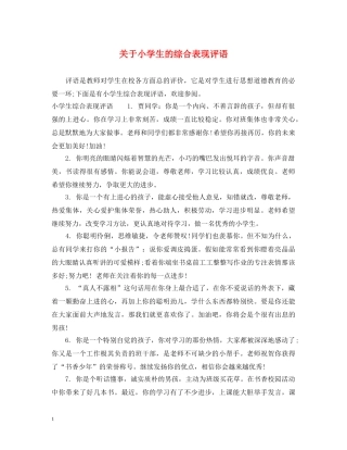 关于小学生的综合表现评语