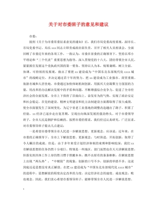 关于对市委班子的意见和建议